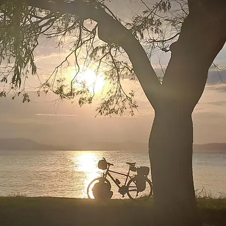 Panoramic Art With Jacuzzi * Balatonlelle