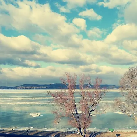 Panoramic Art With Jacuzzi アパート *